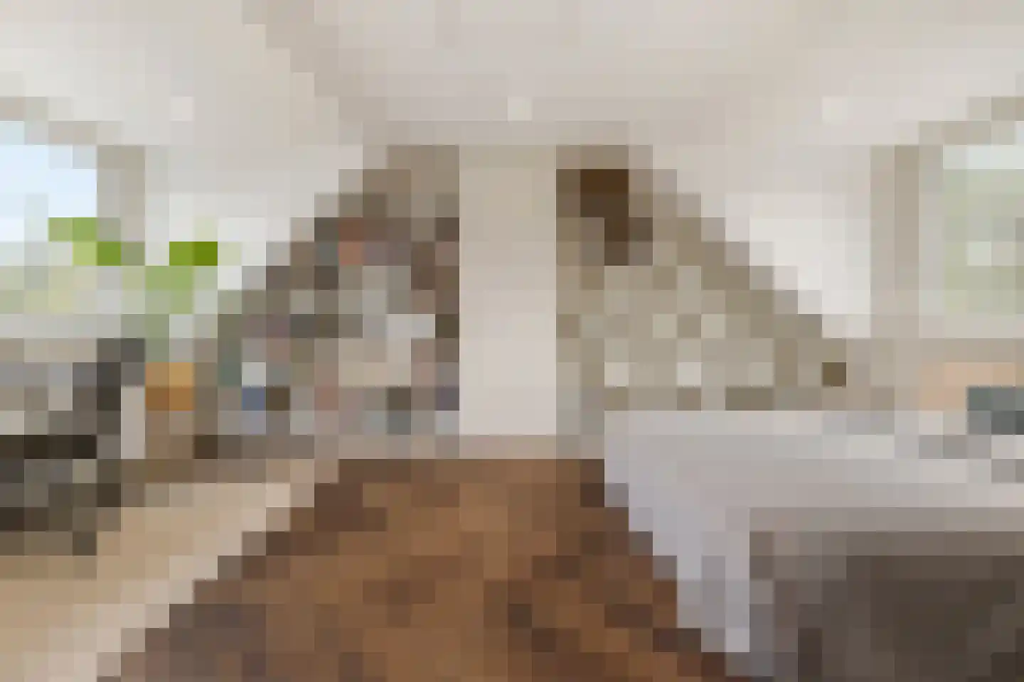 Brucknerlaan 45 Utrecht thumbnail 23