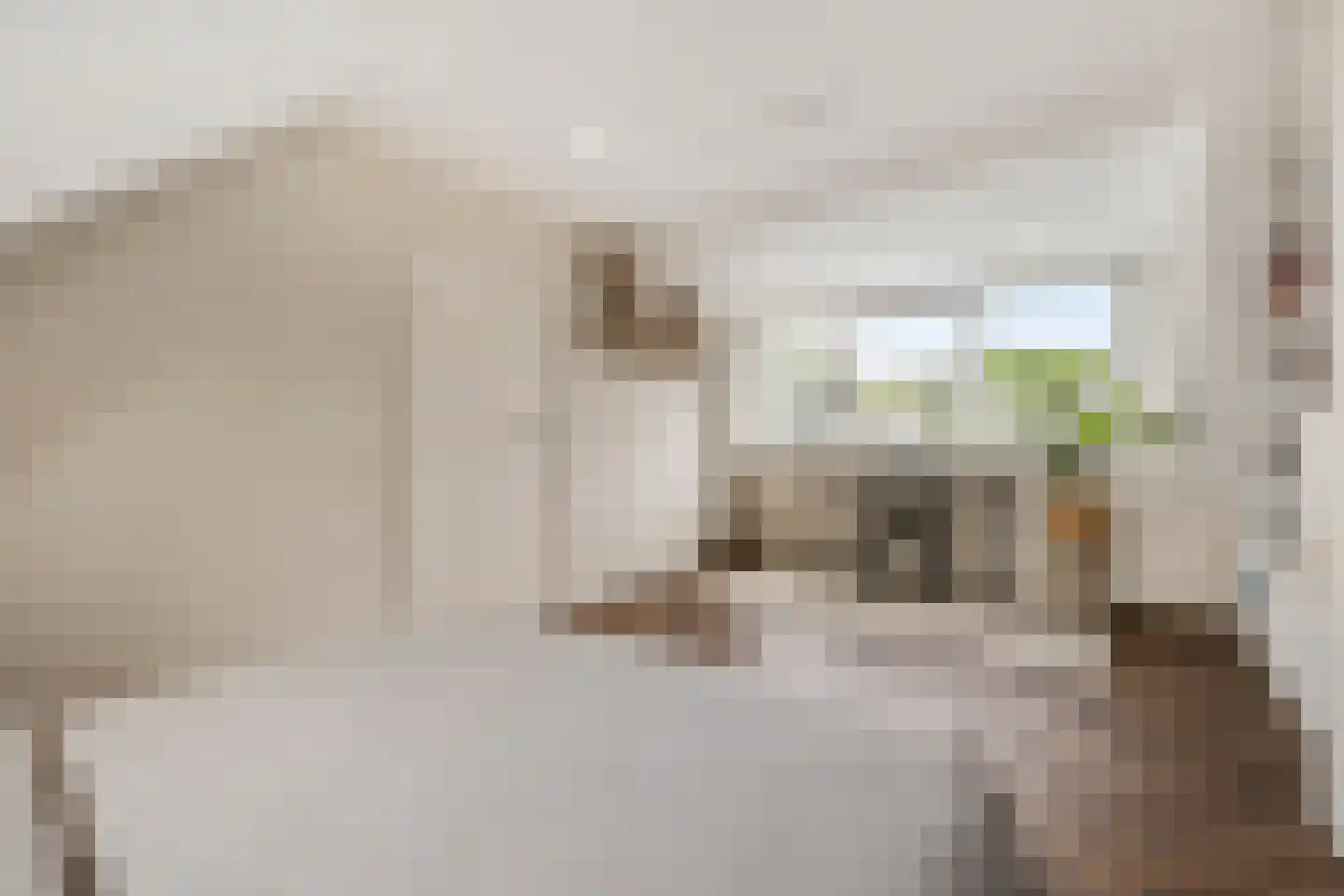 Brucknerlaan 45 Utrecht thumbnail 24
