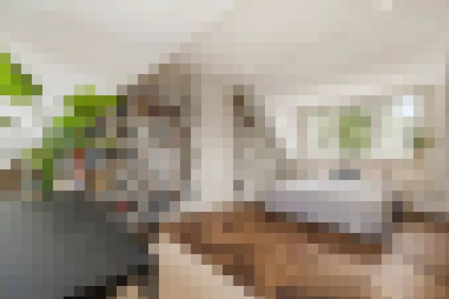 Brucknerlaan 45 Utrecht thumbnail 5