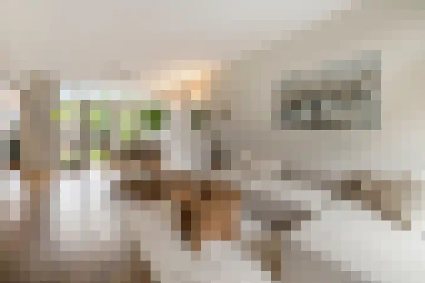 Brucknerlaan 45 Utrecht thumbnail 8