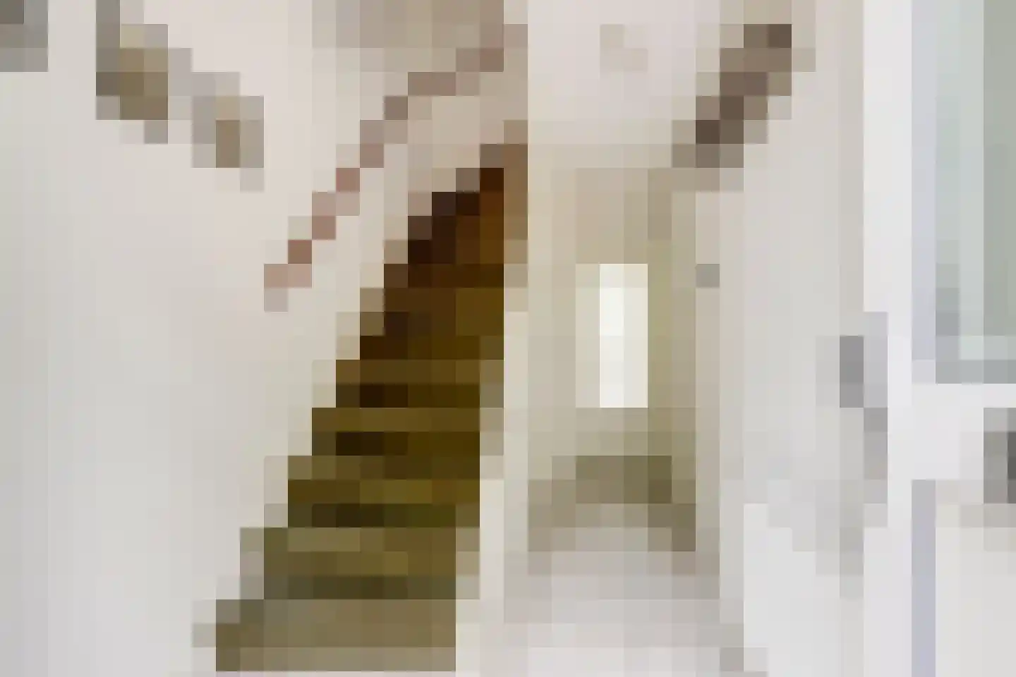Brucknerlaan 84 Utrecht thumbnail 14