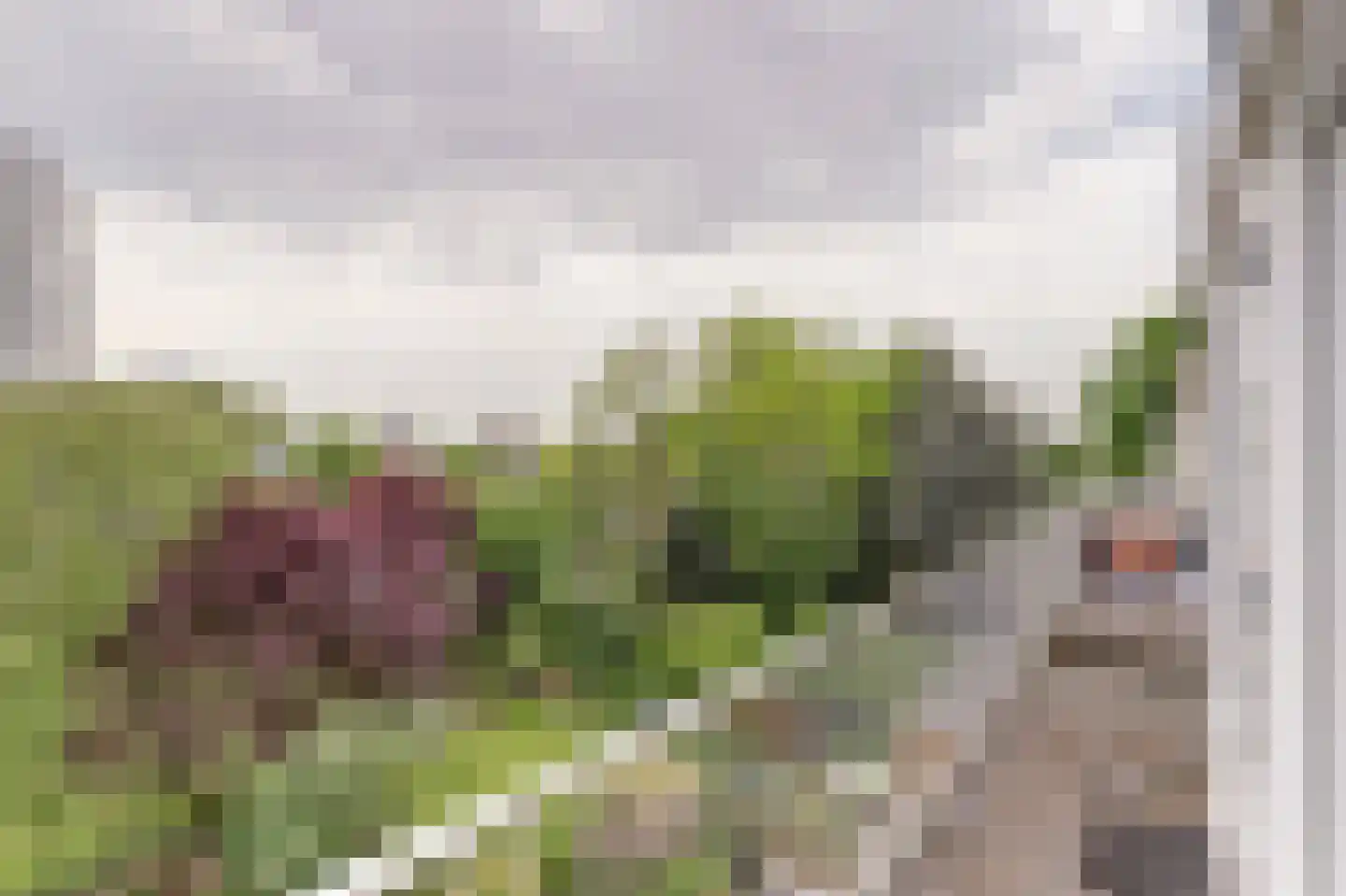 Brucknerlaan 84 Utrecht thumbnail 27