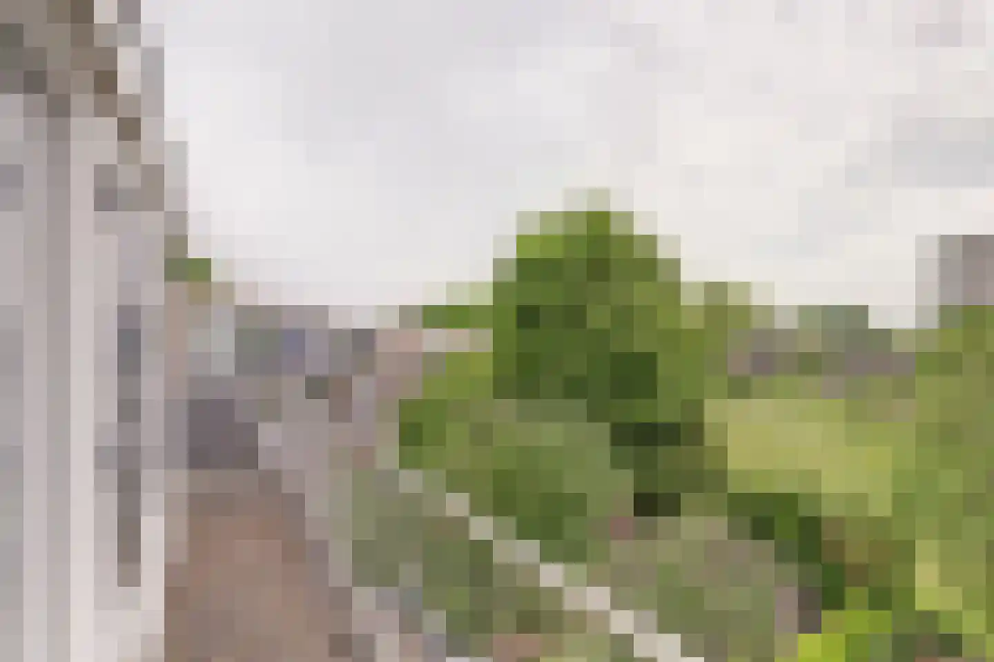 Brucknerlaan 84 Utrecht thumbnail 28
