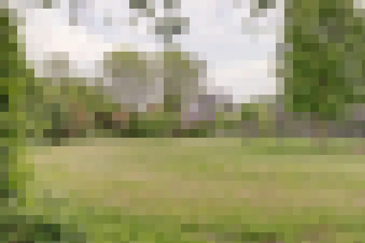Brucknerlaan 84 Utrecht thumbnail 29