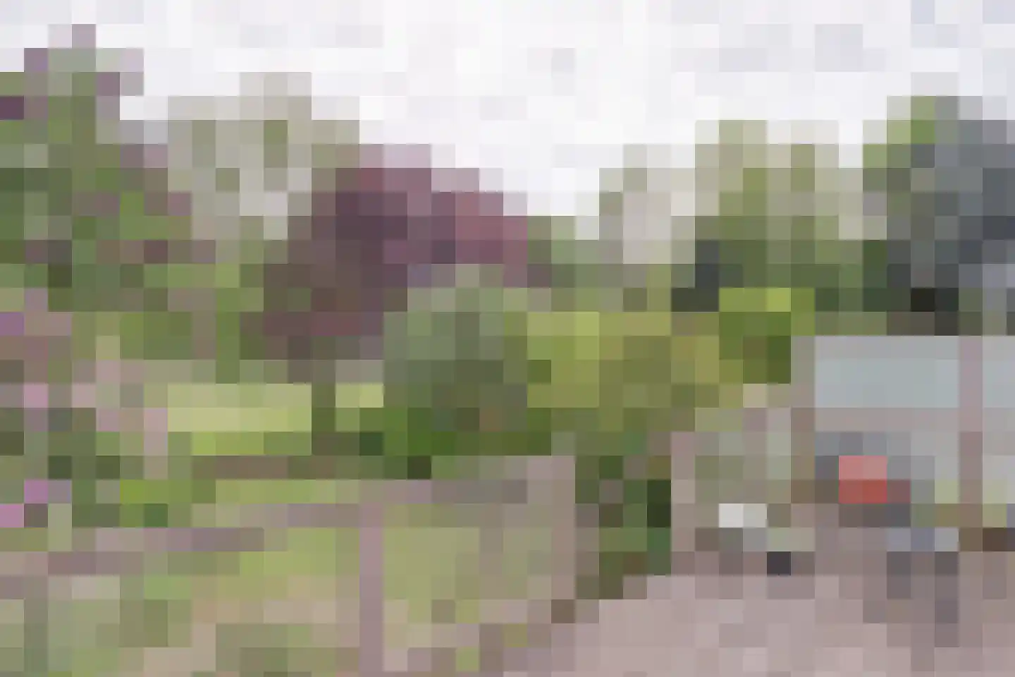 Brucknerlaan 84 Utrecht thumbnail 7