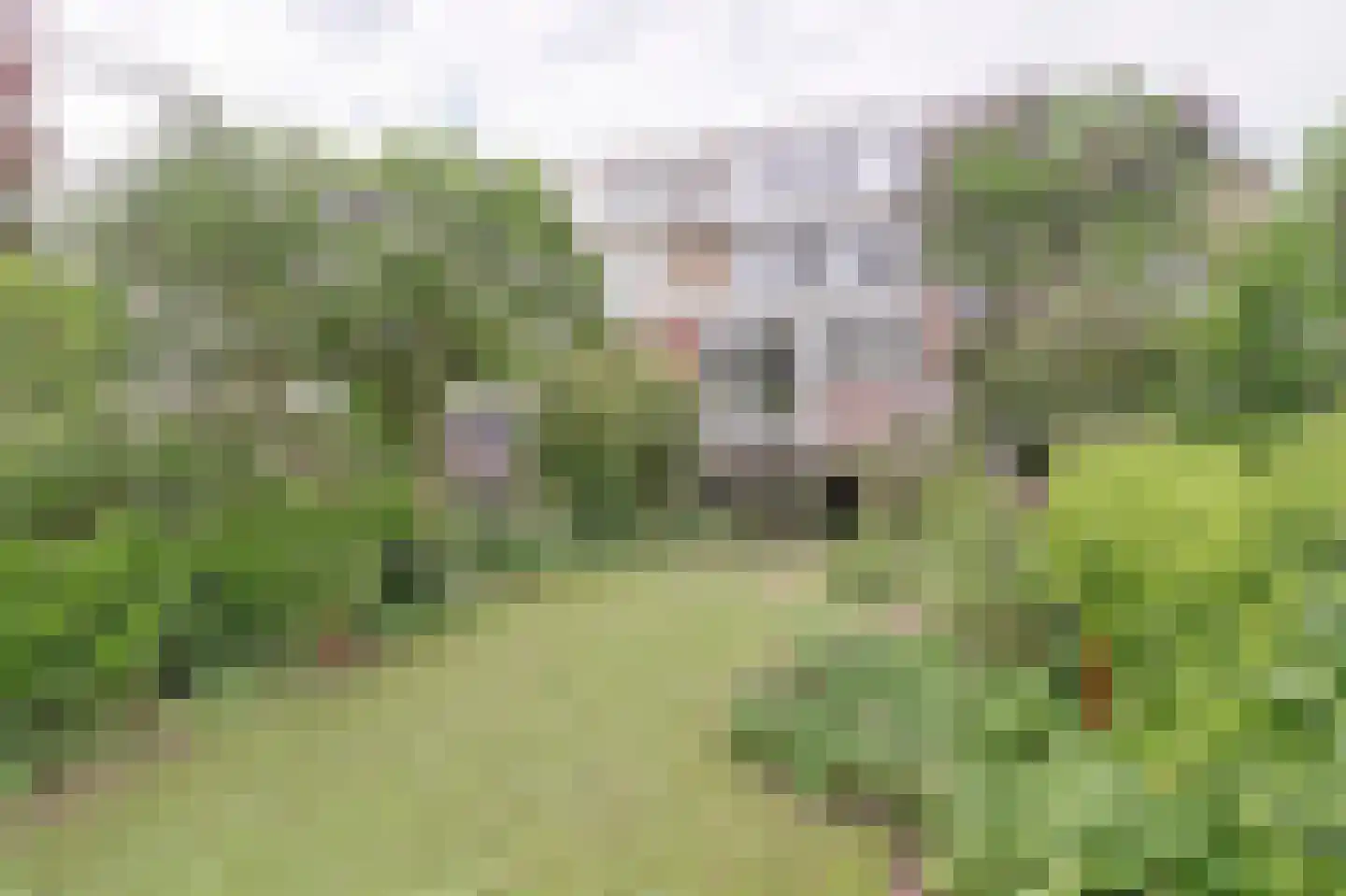 Brucknerlaan 84 Utrecht thumbnail 8