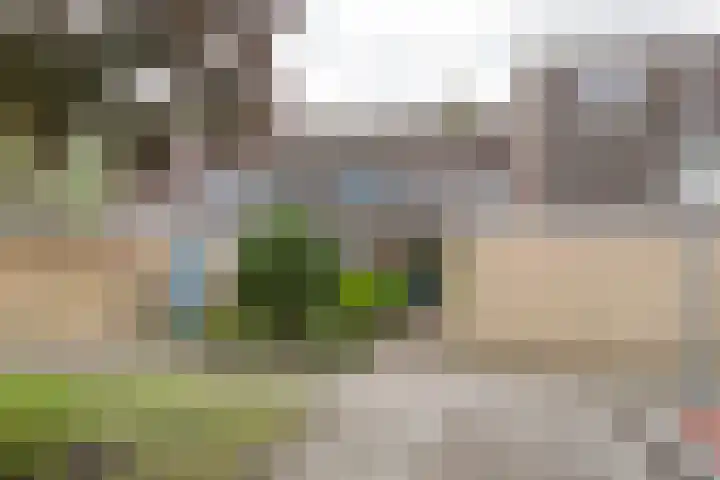 Brucknerlaantje 109 Nijkerk thumbnail 4