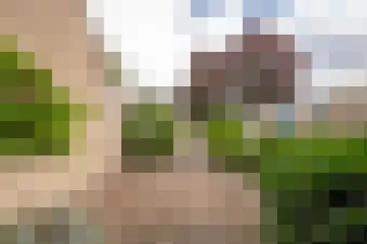 Brucknerlaantje 109 Nijkerk thumbnail 6