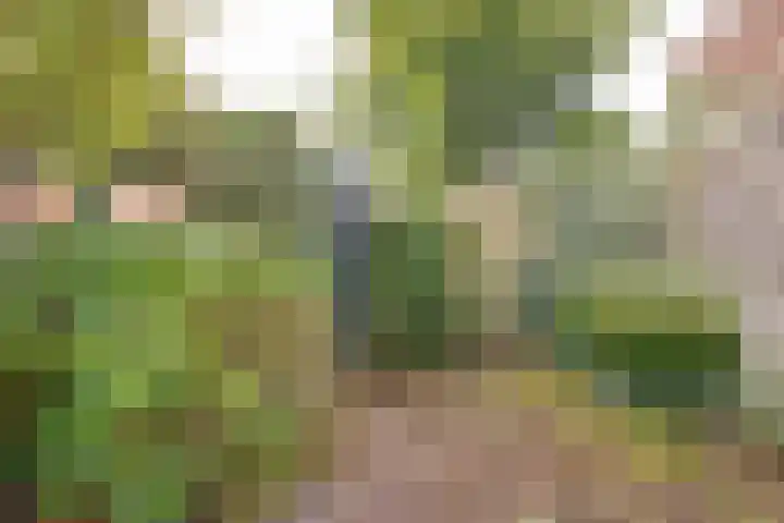 Brucknerlaantje 109 Nijkerk thumbnail 9