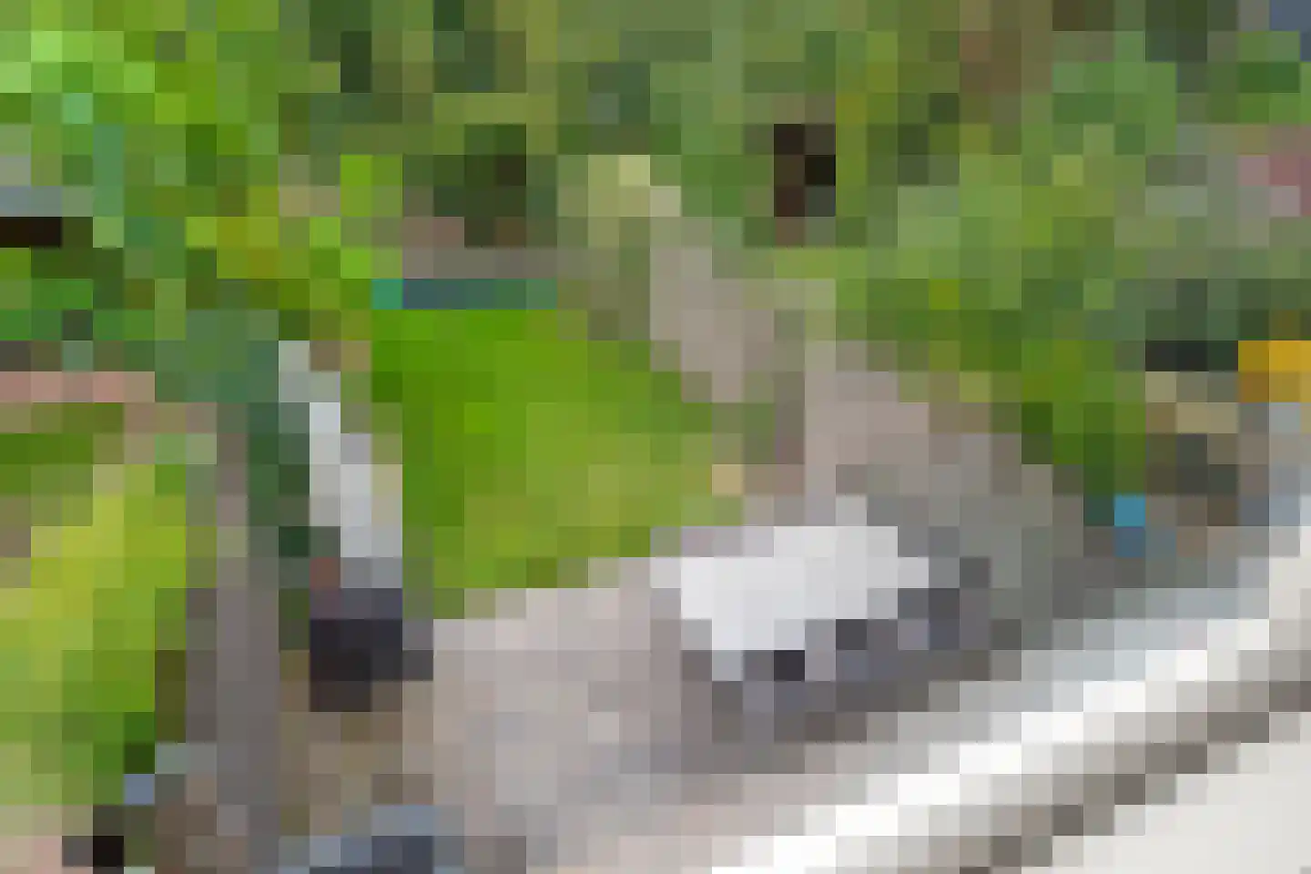 Brucknerlaantje 131 Nijkerk thumbnail 42