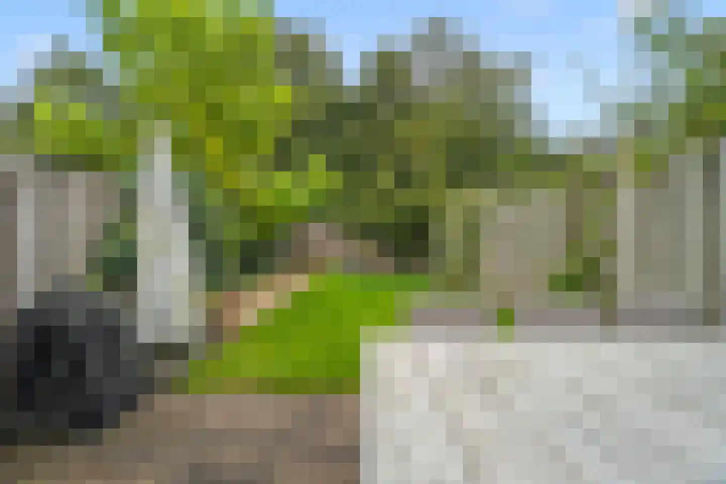Brucknerlaantje 131 Nijkerk thumbnail 52