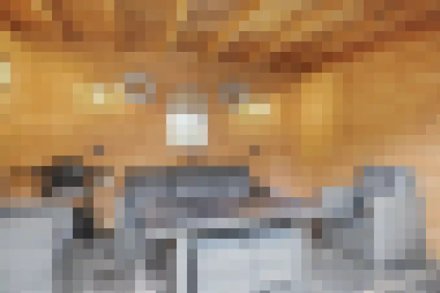 Brucknerlaantje 55 Nijkerk thumbnail 34