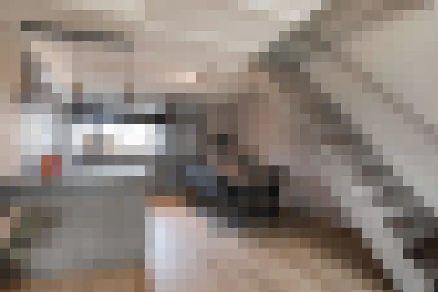 Brucknerlaantje 55 Nijkerk thumbnail 4