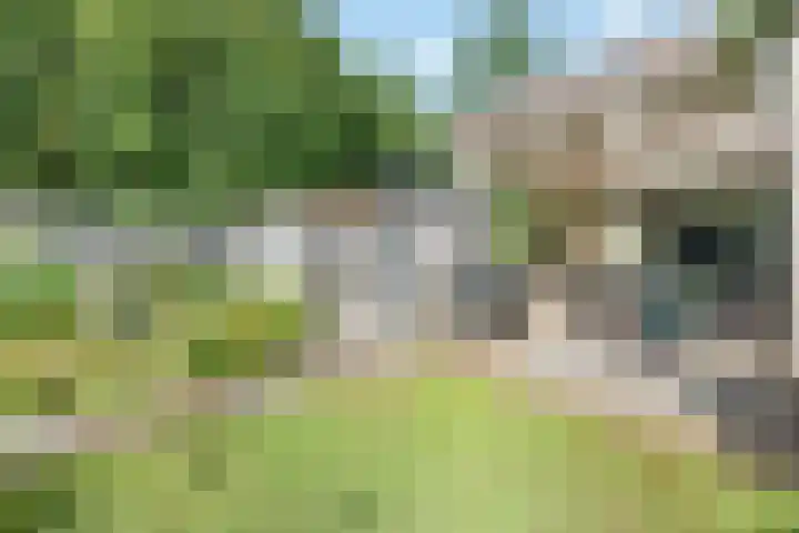 Brucknerlaantje 59 Nijkerk thumbnail 32