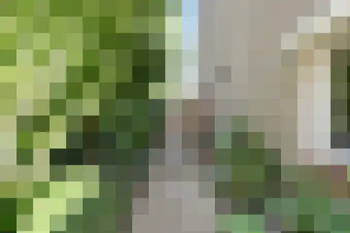 Brucknerlaantje 59 Nijkerk thumbnail 34