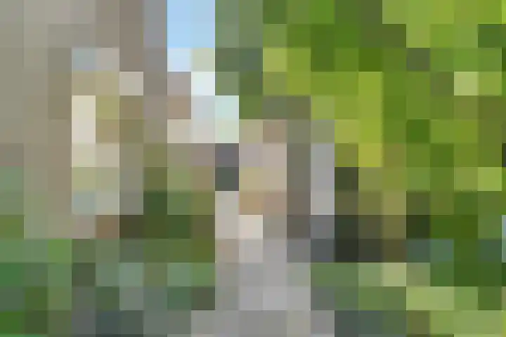 Brucknerlaantje 59 Nijkerk thumbnail 35