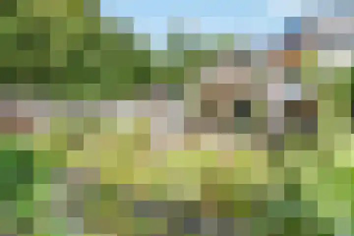 Brucknerlaantje 59 Nijkerk thumbnail 36
