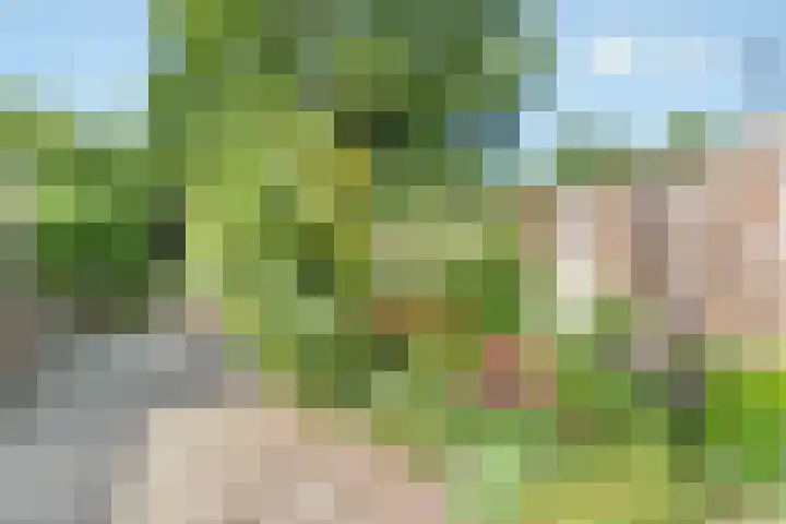 Brucknerlaantje 59 Nijkerk thumbnail 38