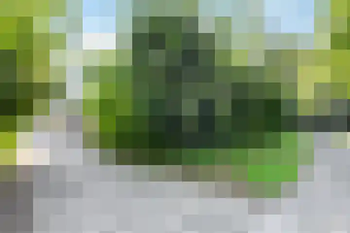 Brucknerlaantje 59 Nijkerk thumbnail 39