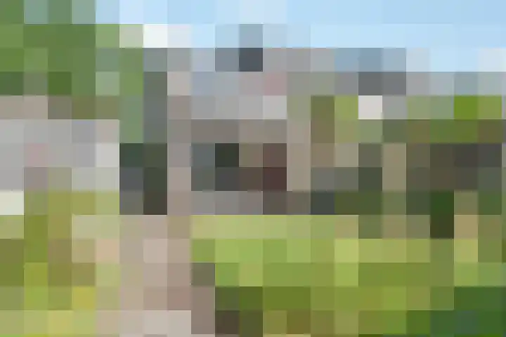 Brucknerlaantje 59 Nijkerk thumbnail 4