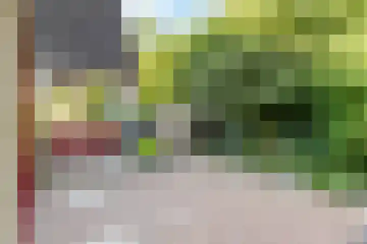 Brucknerlaantje 59 Nijkerk thumbnail 5