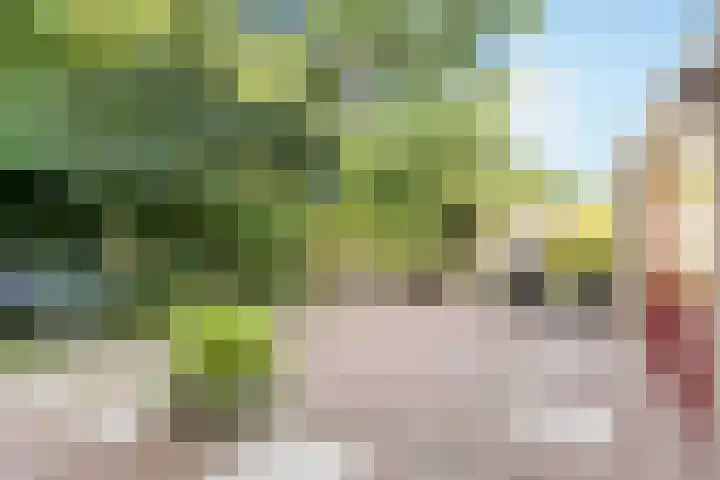 Brucknerlaantje 59 Nijkerk thumbnail 6