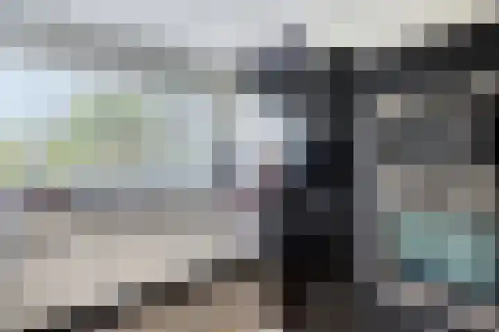 Brucknerstraat 10 Capelle aan den IJssel thumbnail 11