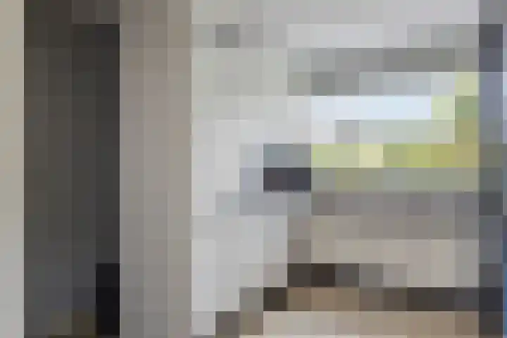 Brucknerstraat 10 Capelle aan den IJssel thumbnail 12