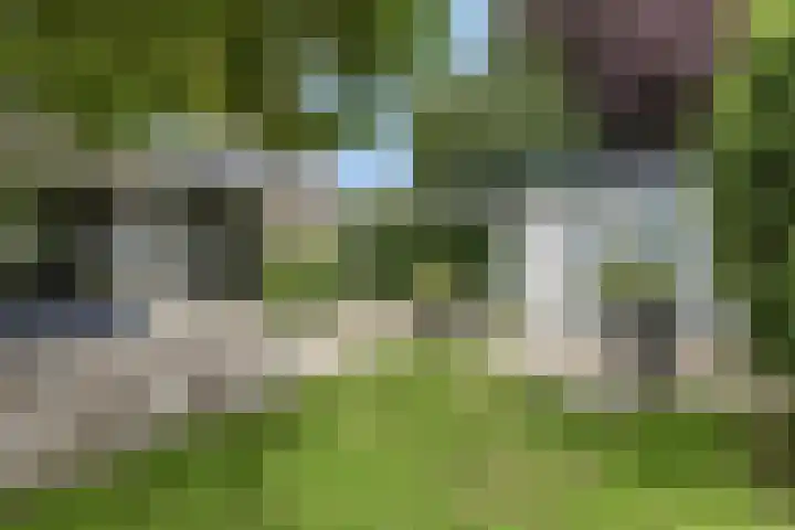 Brucknerstraat 10 Capelle aan den IJssel thumbnail 22