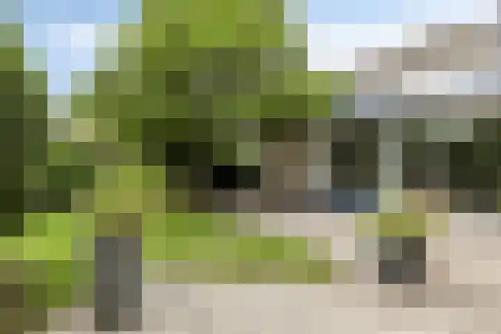 Brucknerstraat 10 Capelle aan den IJssel thumbnail 4