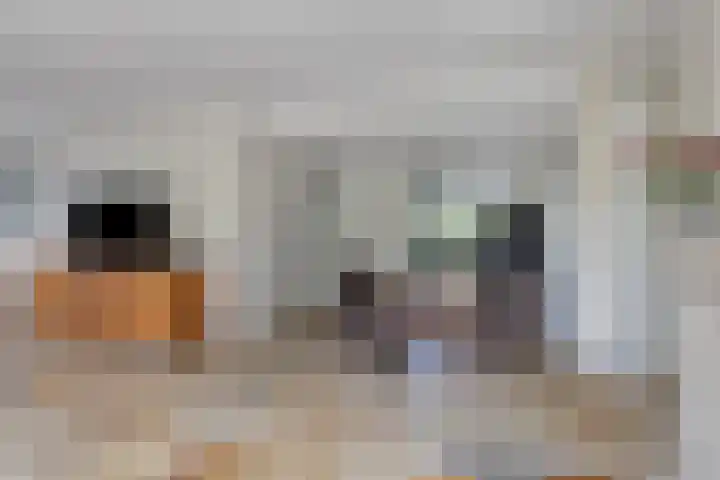 Brucknerstraat 10 Capelle aan den IJssel thumbnail 8