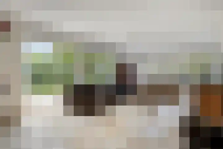 Brucknerstraat 10 Capelle aan den IJssel thumbnail 9