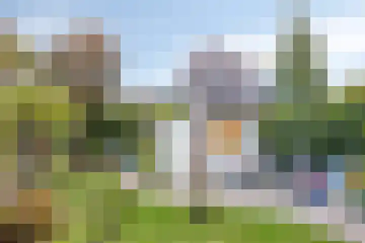 Brucknerstraat 12 's-Hertogenbosch thumbnail 8