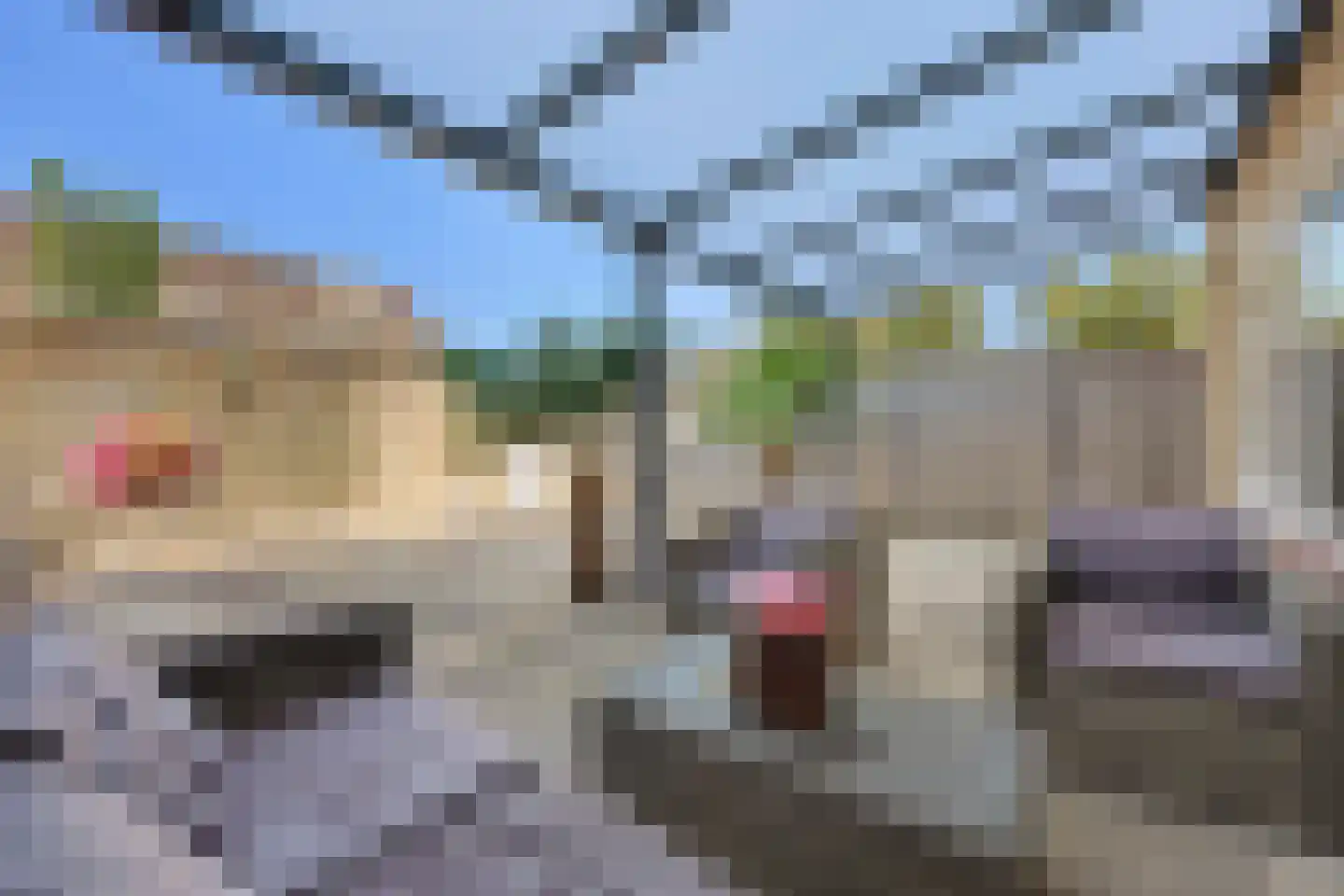 Brucknerstraat 25 Almelo thumbnail 34