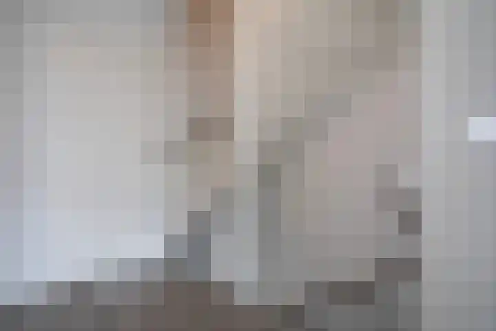 Brucknerstraat 26 Almelo thumbnail 20