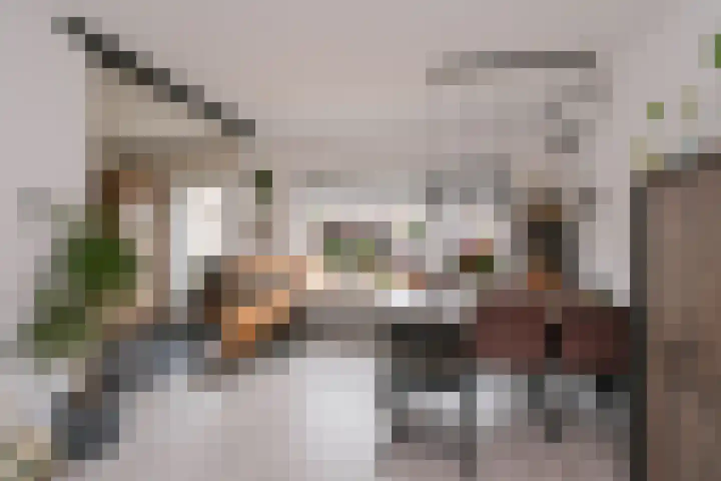 Brucknerstraat 33 Almelo thumbnail 7