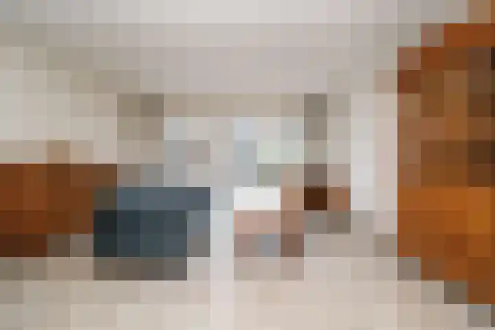 Brucknerstraat 4 Zwijndrecht thumbnail 5