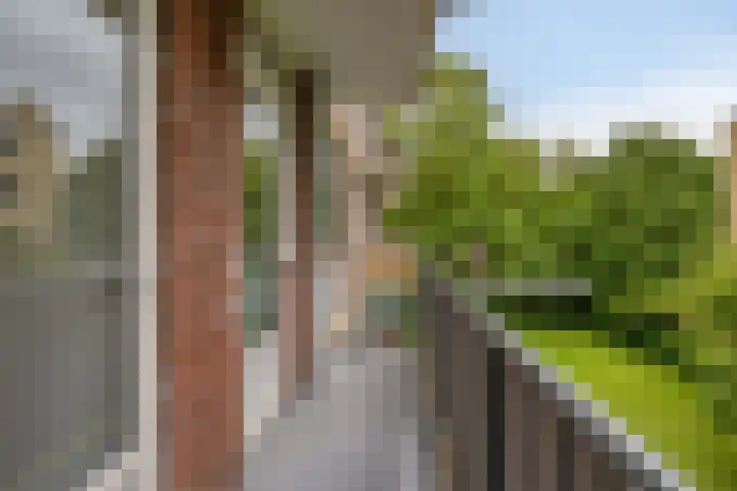 Brucknerstraat 45 Leiden thumbnail 24