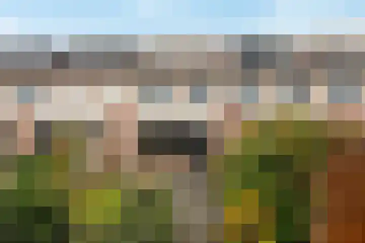Brucknerstraat 58 Barendrecht thumbnail 5