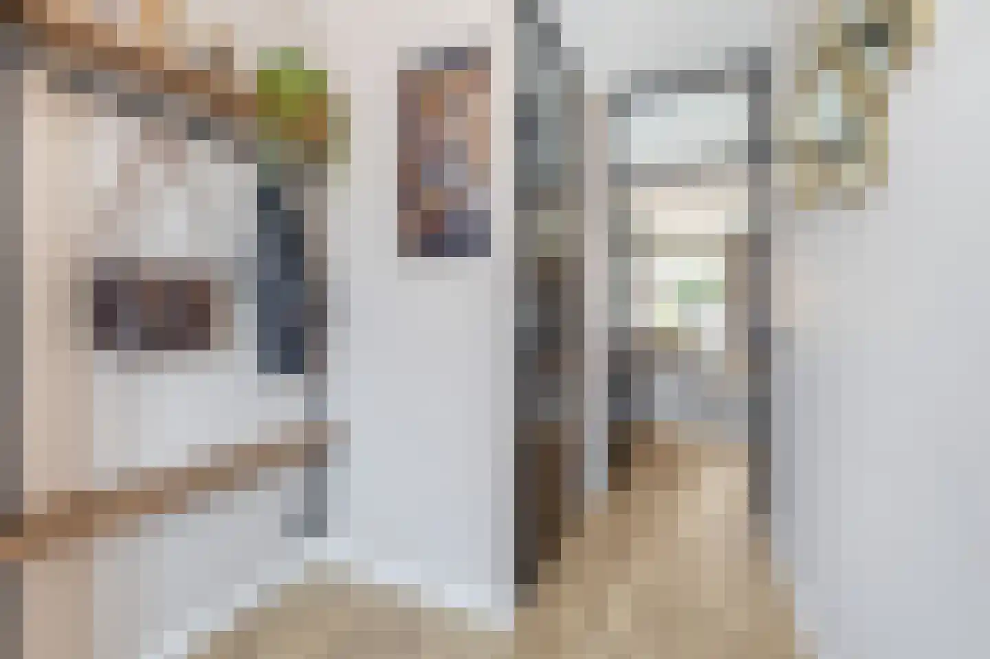 Brucknerstraat 8 Kaatsheuvel thumbnail 7