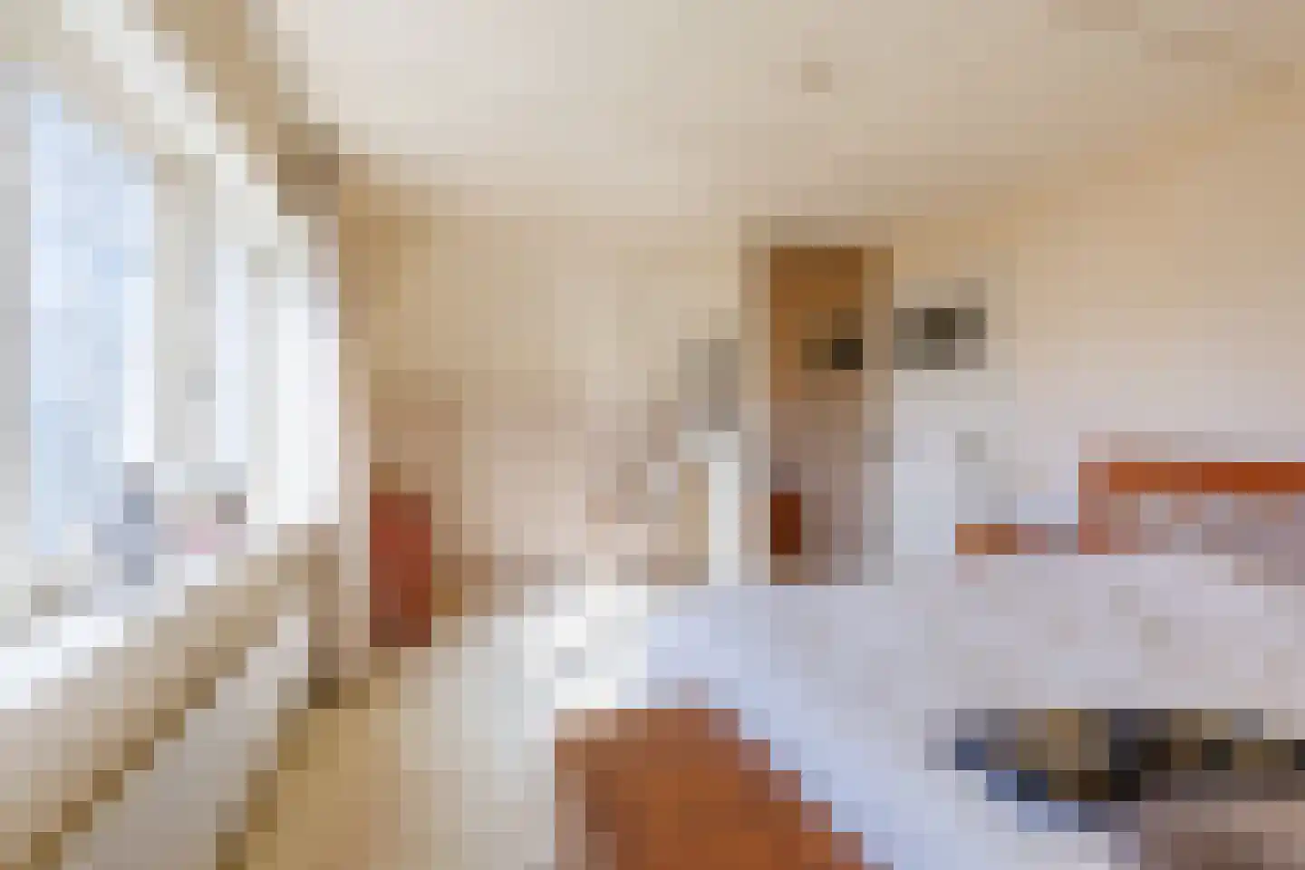 Bructerenlaan 4 Apeldoorn thumbnail 23