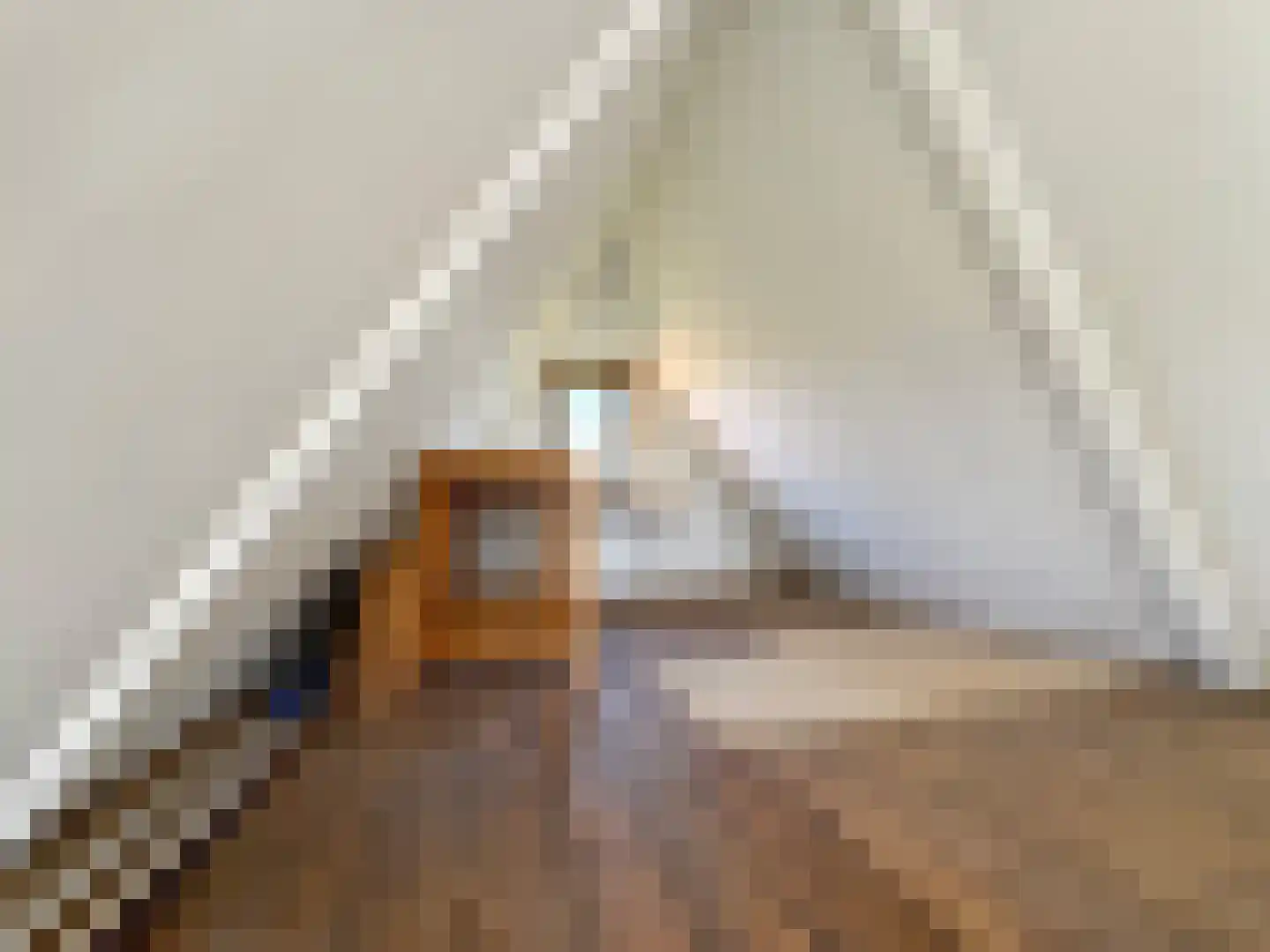 Bructerenlaan 4 Apeldoorn thumbnail 40