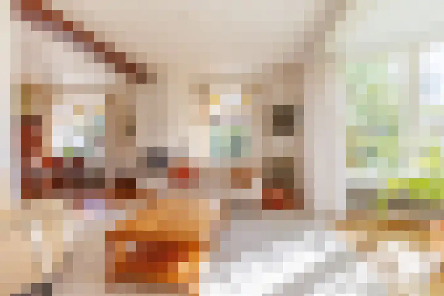 Bructerenlaan 4 Apeldoorn thumbnail 7