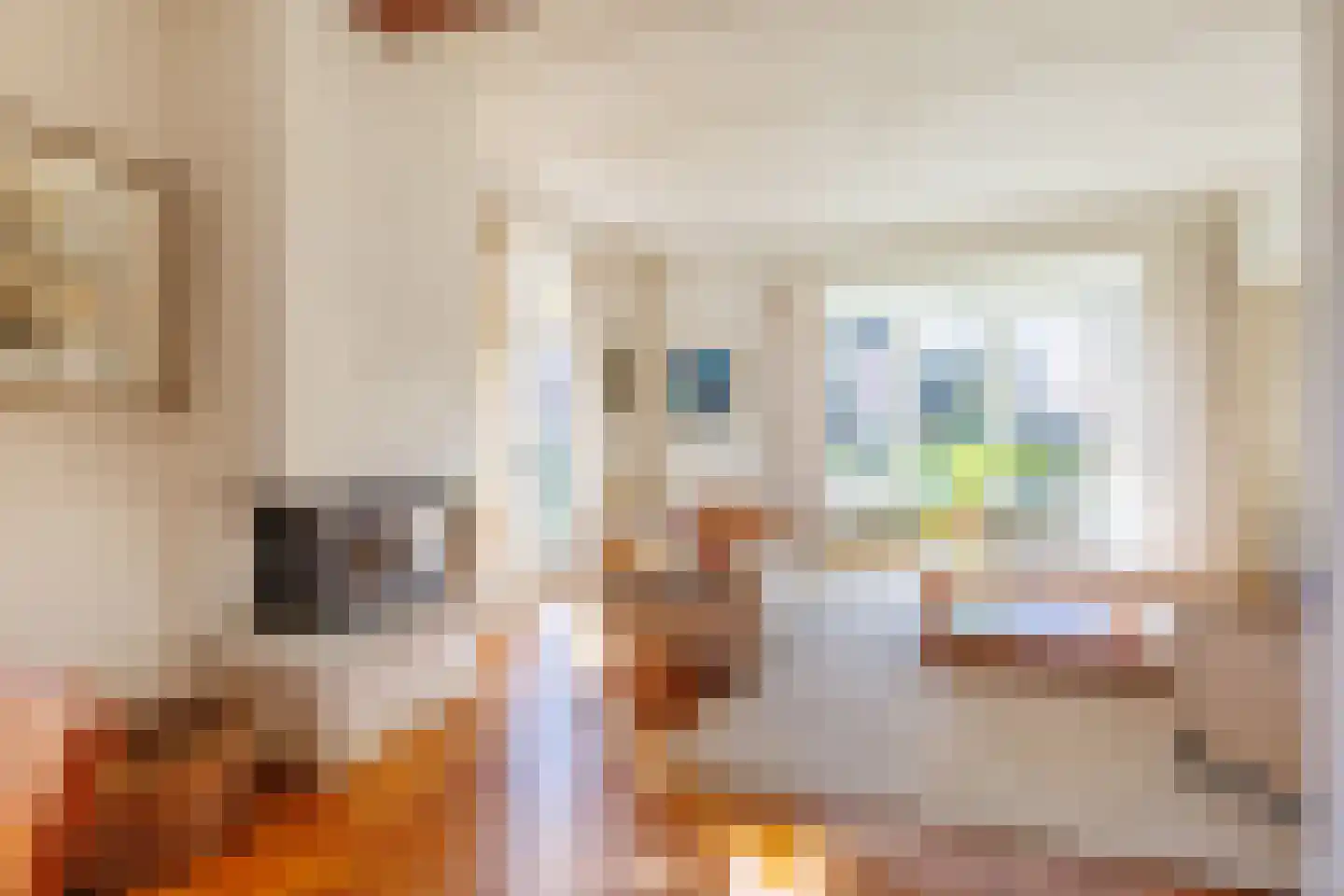 Bructerenlaan 4 Apeldoorn thumbnail 9