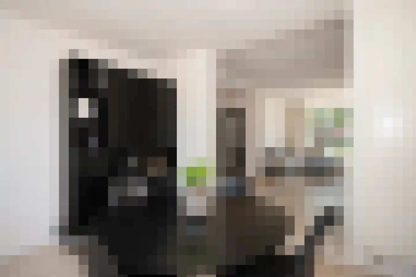 Bruegelstraat 27 Geleen thumbnail 17