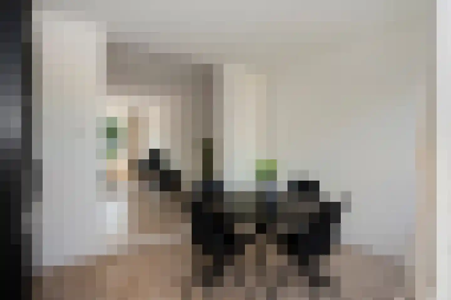 Bruegelstraat 27 Geleen thumbnail 18