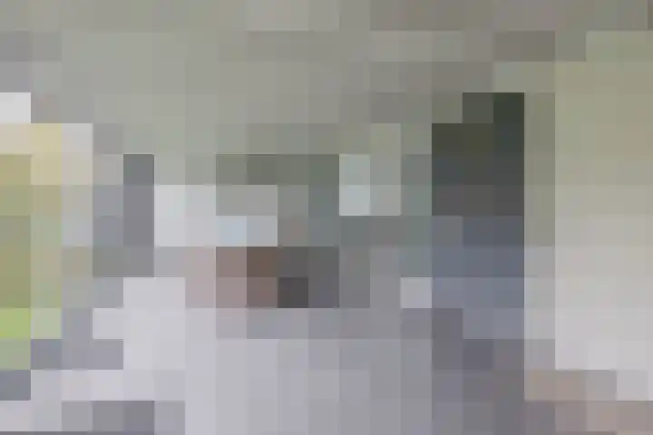 Brueghelstraat 7 Baarlo thumbnail 10