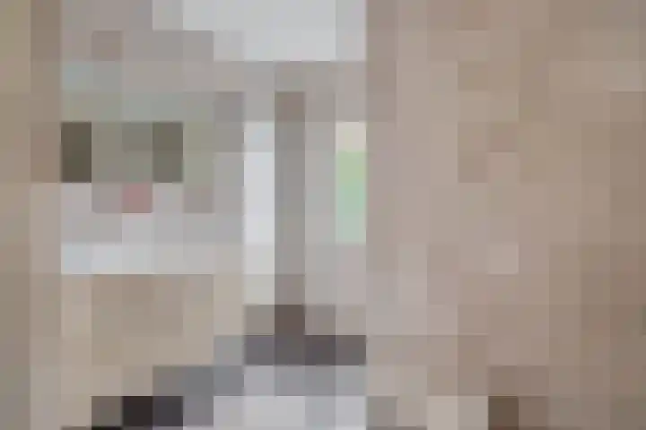 Brueghelstraat 7 Baarlo thumbnail 16