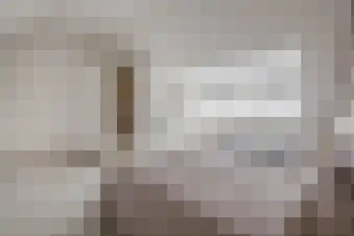 Brueghelstraat 7 Baarlo thumbnail 20