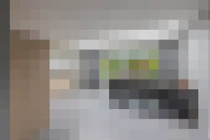 Brueghelstraat 7 Baarlo thumbnail 4